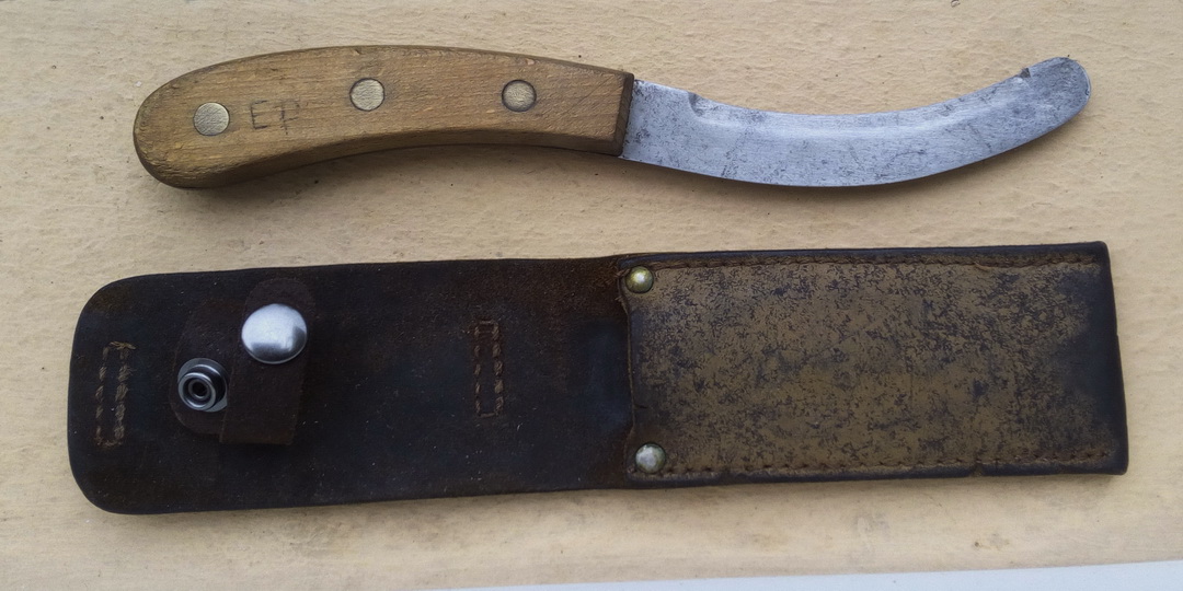 Coupe Sangle Cioveau