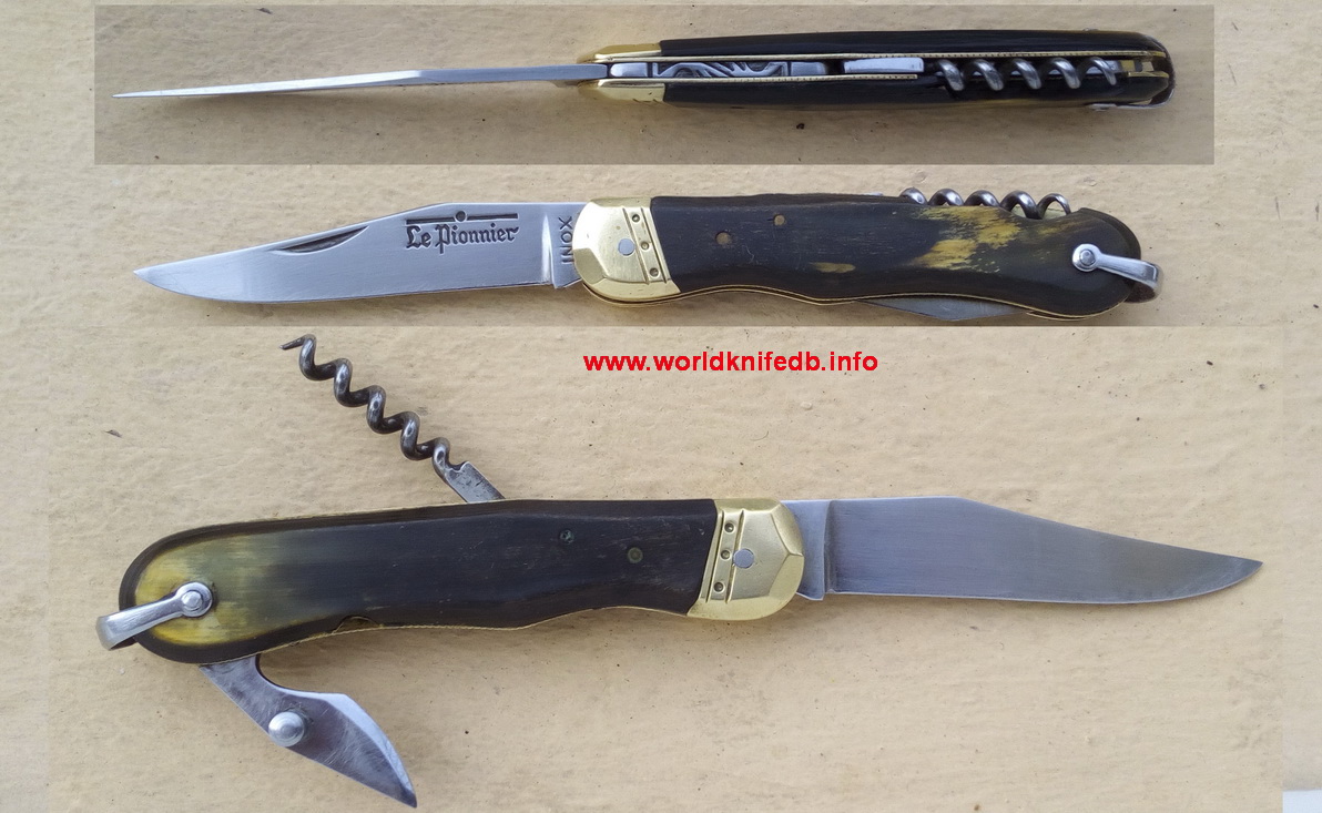 Douris Chastel, Mini Pionnier