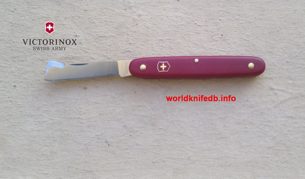 Victorinox greffoir Ecoline